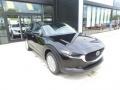 Jet Black Mica - CX-30 Preferred AWD Photo No. 1
