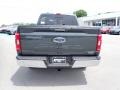 2021 Guard Ford F150 XLT SuperCrew 4x4  photo #9