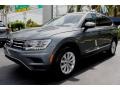 Platinum Gray Metallic - Tiguan SE Photo No. 5