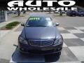 Steel Grey Metallic - C 300 Luxury Photo No. 2