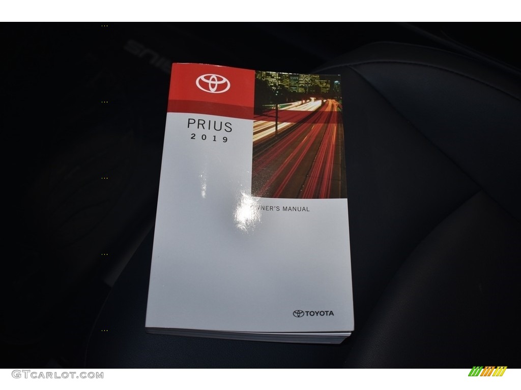 2019 Prius XLE AWD-e - Magnetic Grey Metallic / Black photo #19
