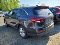 Platinum Graphite - Sorento LX Photo No. 4