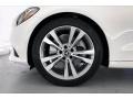 Polar White - C 300 Sedan Photo No. 8