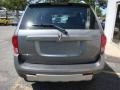 2006 Stone Gray Metallic Pontiac Torrent   photo #5