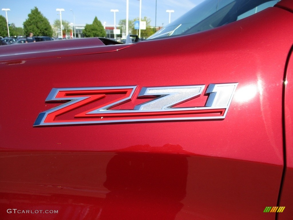 2019 Chevrolet Silverado 1500 Custom Z71 Trail Boss Double Cab 4WD Marks and Logos Photo #142013777