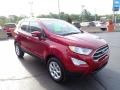 2019 Ruby Red Metallic Ford EcoSport SE 4WD  photo #10