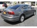 Platinum Gray Metallic - Passat S Sedan Photo No. 9