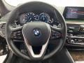 Mocha Steering Wheel Photo for 2018 BMW 5 Series #142039339