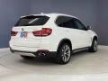 Alpine White - X5 sDrive35i Photo No. 5