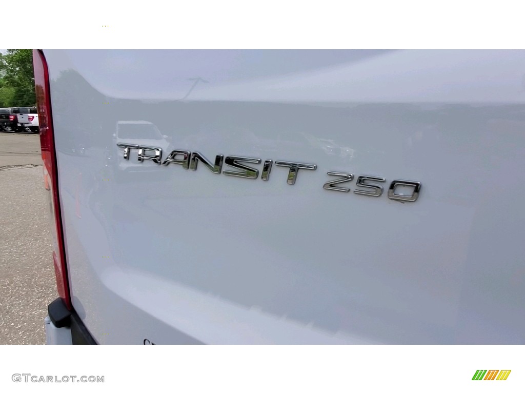 2019 Transit Van 250 LR Regular - Oxford White / Pewter photo #9