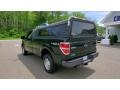 Green Gem Metallic - F150 XL Regular Cab 4x4 Photo No. 5