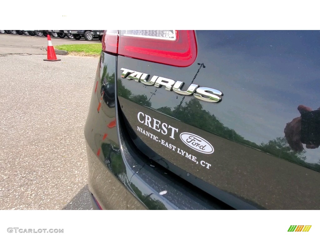 2015 Taurus SE - Tuxedo Black Metallic / Dune photo #9