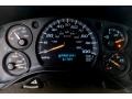Neutral Gauges Photo for 2003 Chevrolet Express #142047010