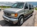 Silver Birch Metallic - E Series Van E350 Passenger Conversion Photo No. 8