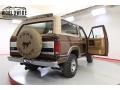 Medium Desert Tan - Bronco XLT 4x4 Photo No. 12