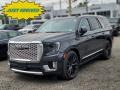 Hunter Metallic - Yukon Denali 4WD Photo No. 1