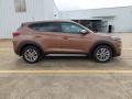 2017 Mojave Sand Hyundai Tucson Eco  photo #12