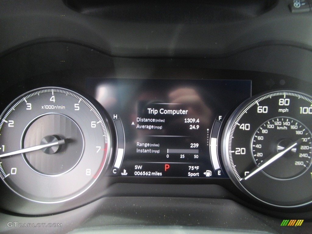 2020 Acura RDX Advance Gauges Photos