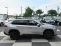 Silver Sky Metallic - RAV4 XLE Photo No. 3