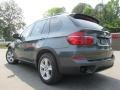 2012 Platinum Gray Metallic BMW X5 xDrive35i Premium  photo #8