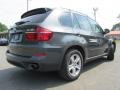 2012 Platinum Gray Metallic BMW X5 xDrive35i Premium  photo #10