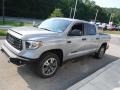 Cement 2020 Toyota Tundra SR5 CrewMax 4x4 Exterior