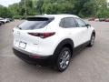 Snowflake White Pearl Mica - CX-30 Premium AWD Photo No. 2