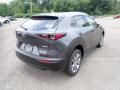 Machine Gray Metallic - CX-30 Premium AWD Photo No. 2