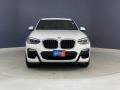 Alpine White - X3 sDrive30i Photo No. 2