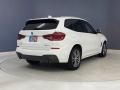 Alpine White - X3 sDrive30i Photo No. 5