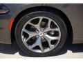 2017 Granite Pearl Dodge Charger SXT  photo #35