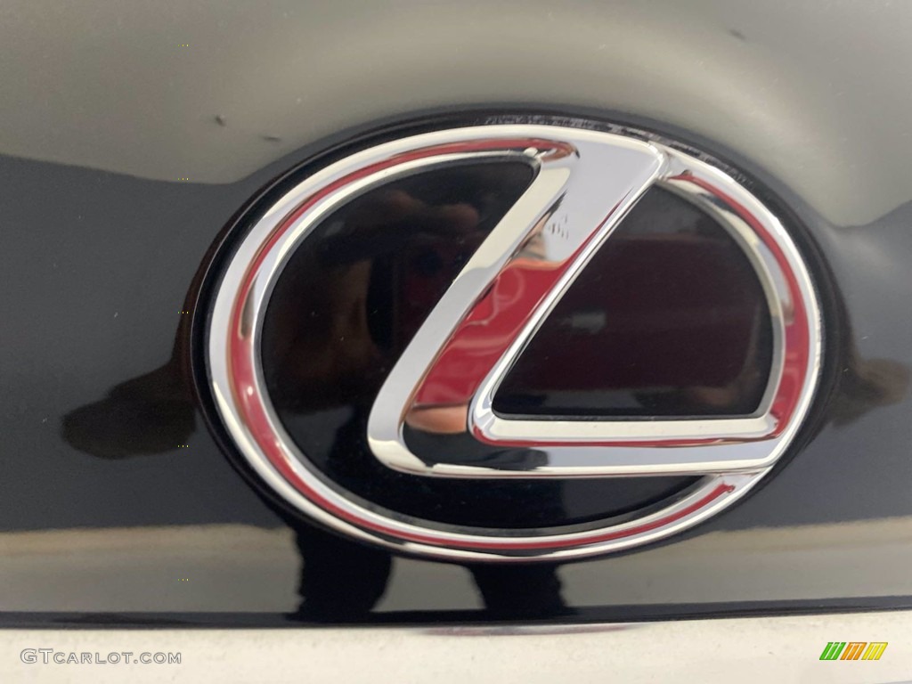 2017 NX 200t - Obsidian / Black photo #10