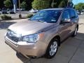Burnished Bronze Metallic - Forester 2.5i Premium Photo No. 7