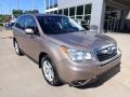 Burnished Bronze Metallic - Forester 2.5i Premium Photo No. 9