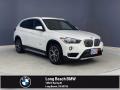 Alpine White - X1 sDrive28i Photo No. 1