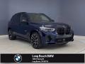 2021 Tanzanite Blue II Metallic BMW X5 M   photo #1