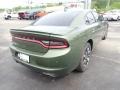 2018 F8 Green Dodge Charger GT AWD  photo #6