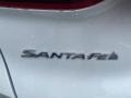 2021 Quartz White Hyundai Santa Fe Calligraphy AWD  photo #6