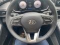 Black Steering Wheel Photo for 2021 Hyundai Santa Fe #142126527