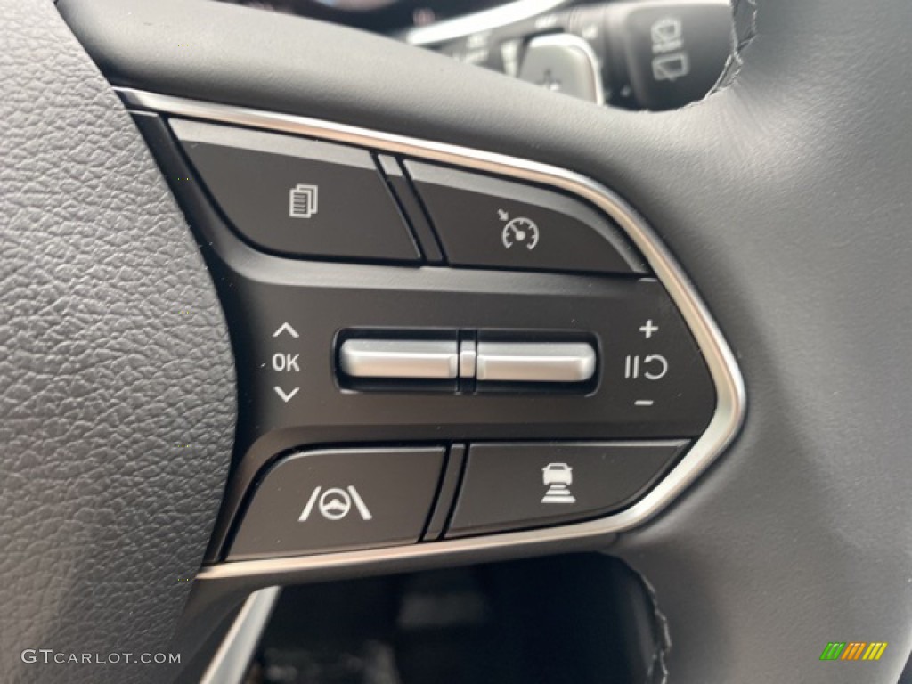 2021 Hyundai Santa Fe SEL AWD Steering Wheel Photos