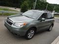Jasmine Green Metallic - Forester 2.5i Premium Photo No. 10