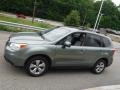 Jasmine Green Metallic - Forester 2.5i Premium Photo No. 11