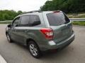 Jasmine Green Metallic - Forester 2.5i Premium Photo No. 12