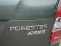 Jasmine Green Metallic - Forester 2.5i Premium Photo No. 14