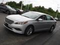 Symphony Silver - Sonata SE Photo No. 4