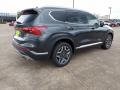 2021 Portofino Gray Hyundai Santa Fe Limited  photo #3