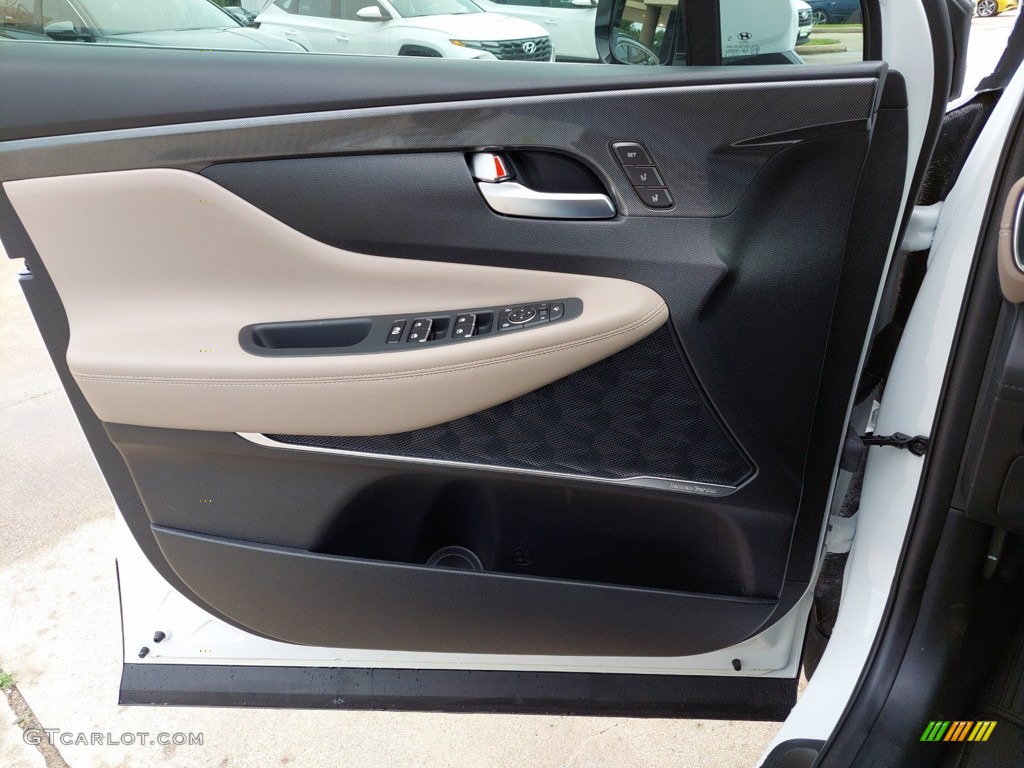 2021 Hyundai Santa Fe Limited Door Panel Photos