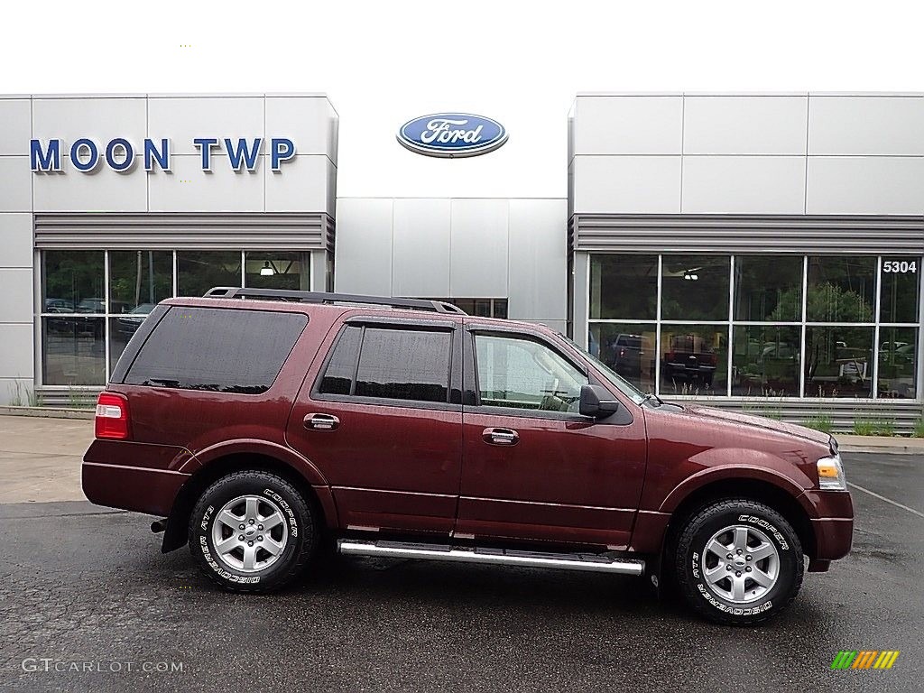 2010 Expedition XLT 4x4 - Royal Red Metallic / Camel photo #1