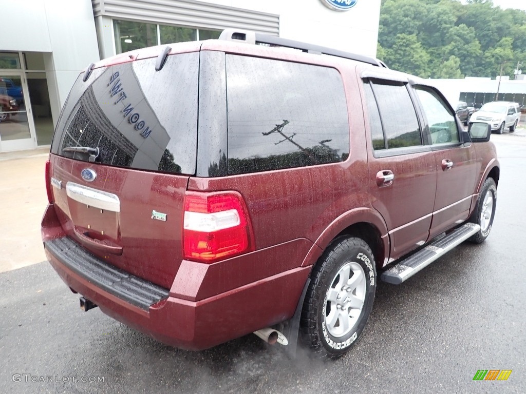 2010 Expedition XLT 4x4 - Royal Red Metallic / Camel photo #2