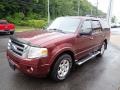 2010 Royal Red Metallic Ford Expedition XLT 4x4  photo #7